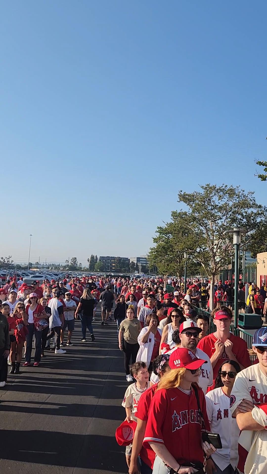 Trout Ohtani Bobblehead night line