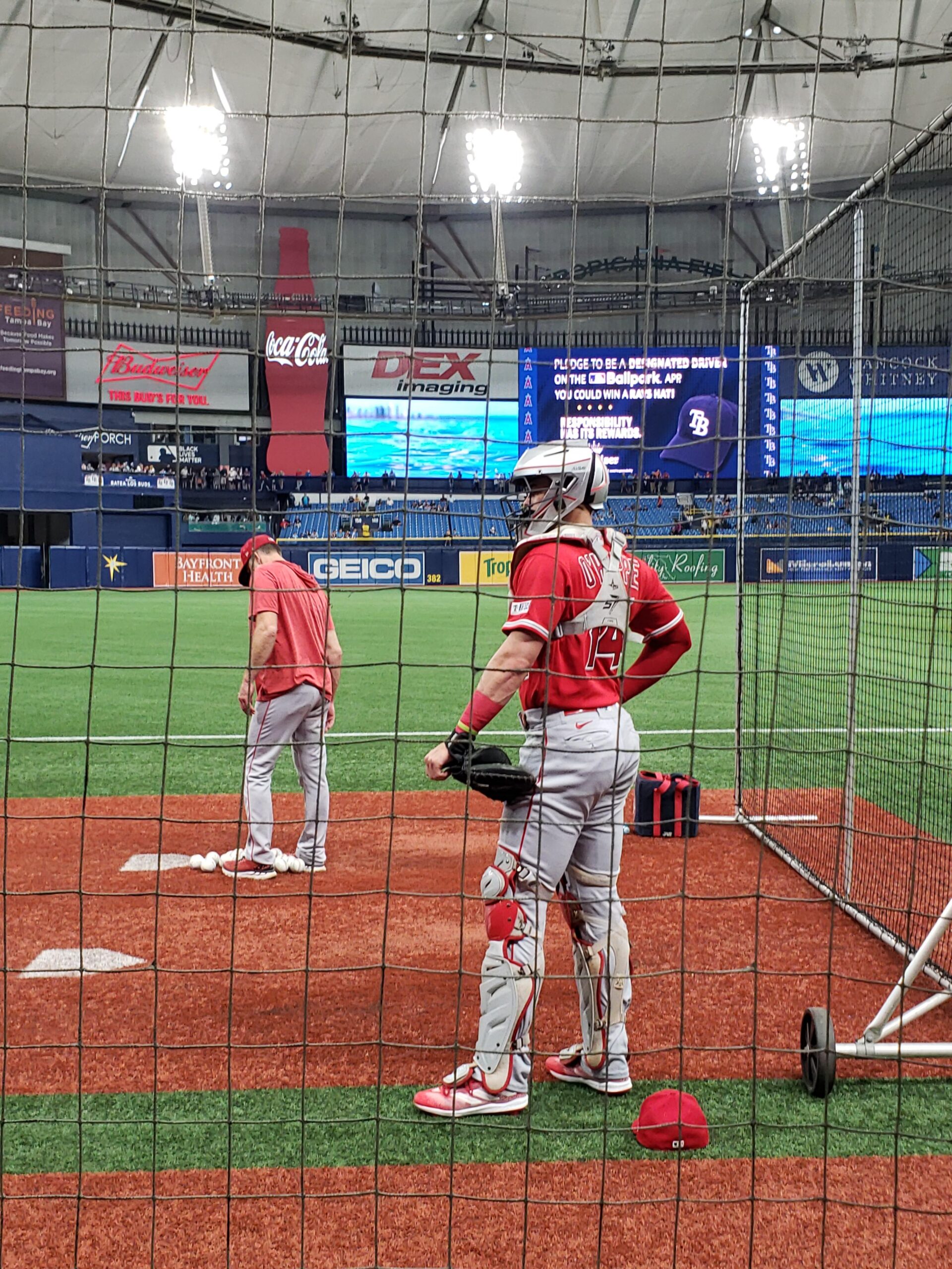 Best 🎂 in Baseball