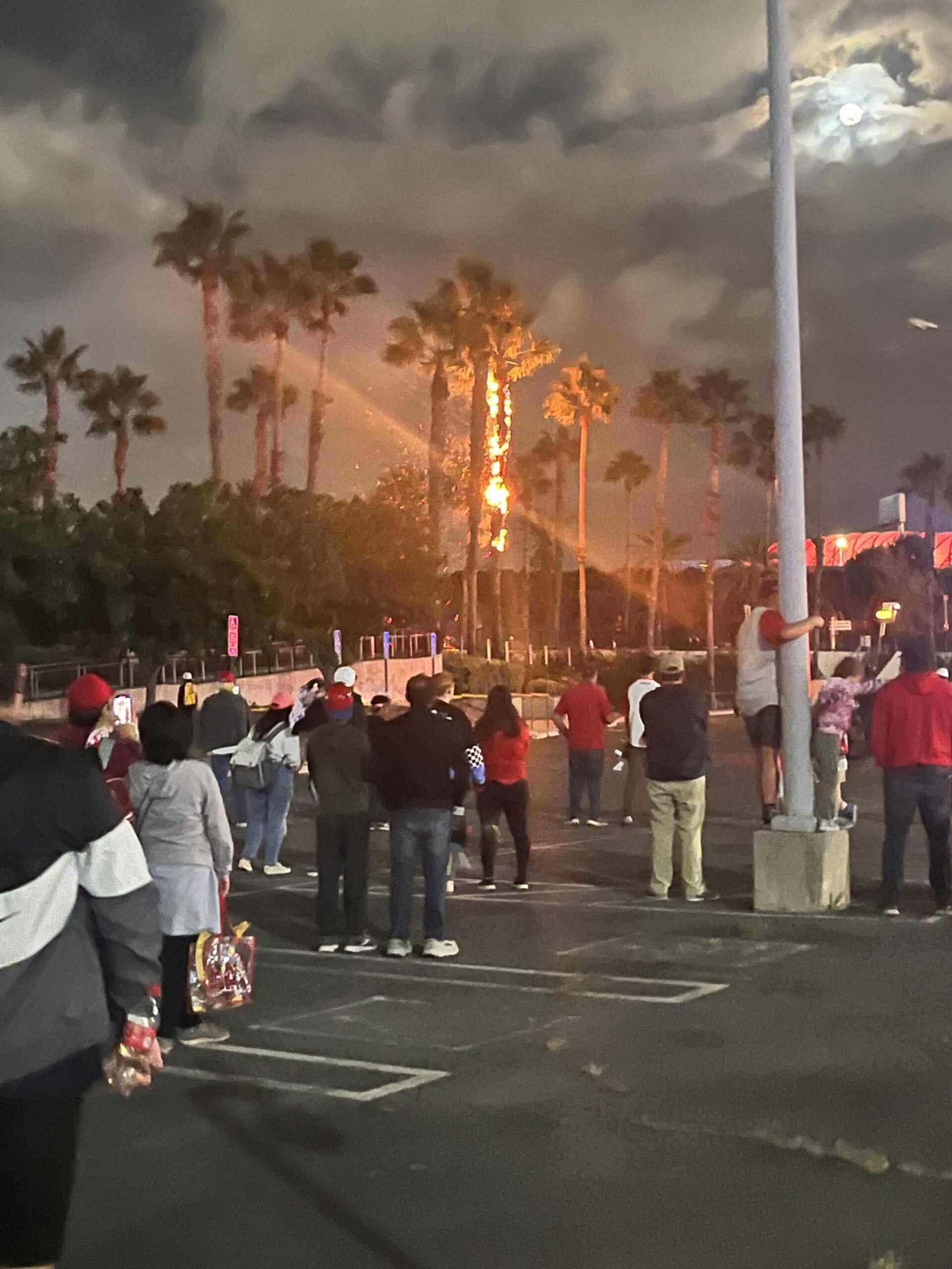 In true Angels baseball fashion, the Saturday night fireworks ended with a tree on fire