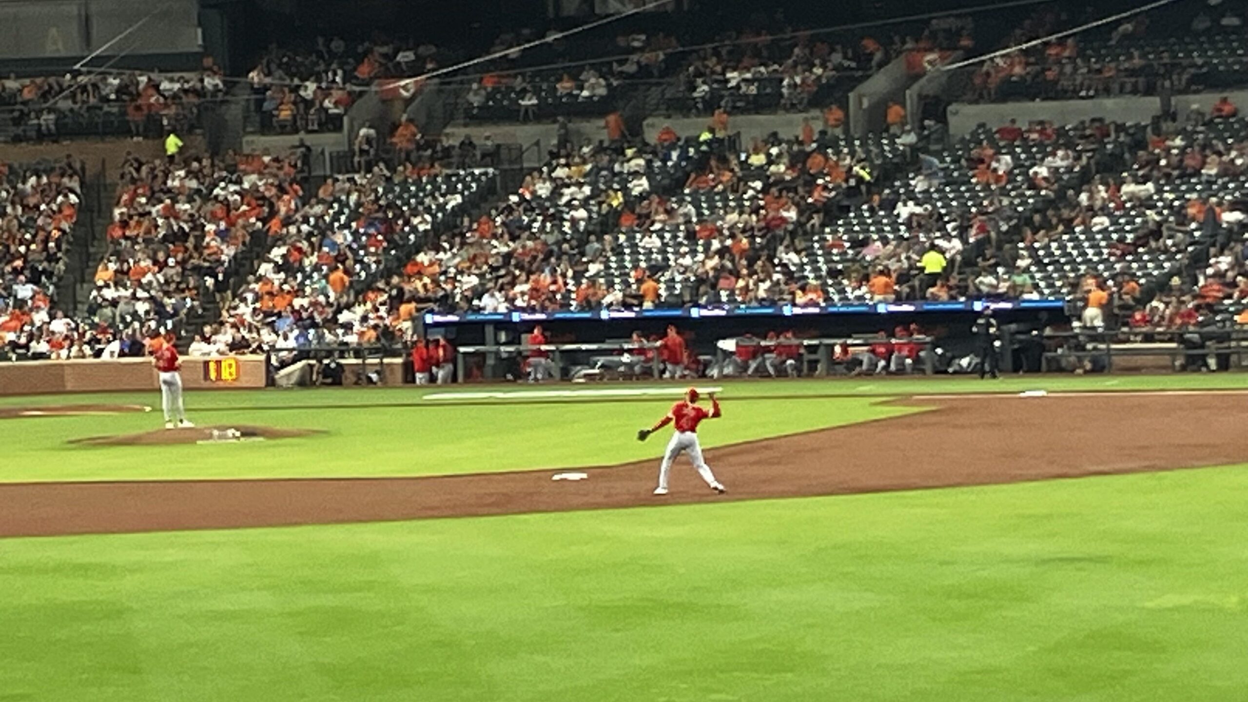 The New Guy