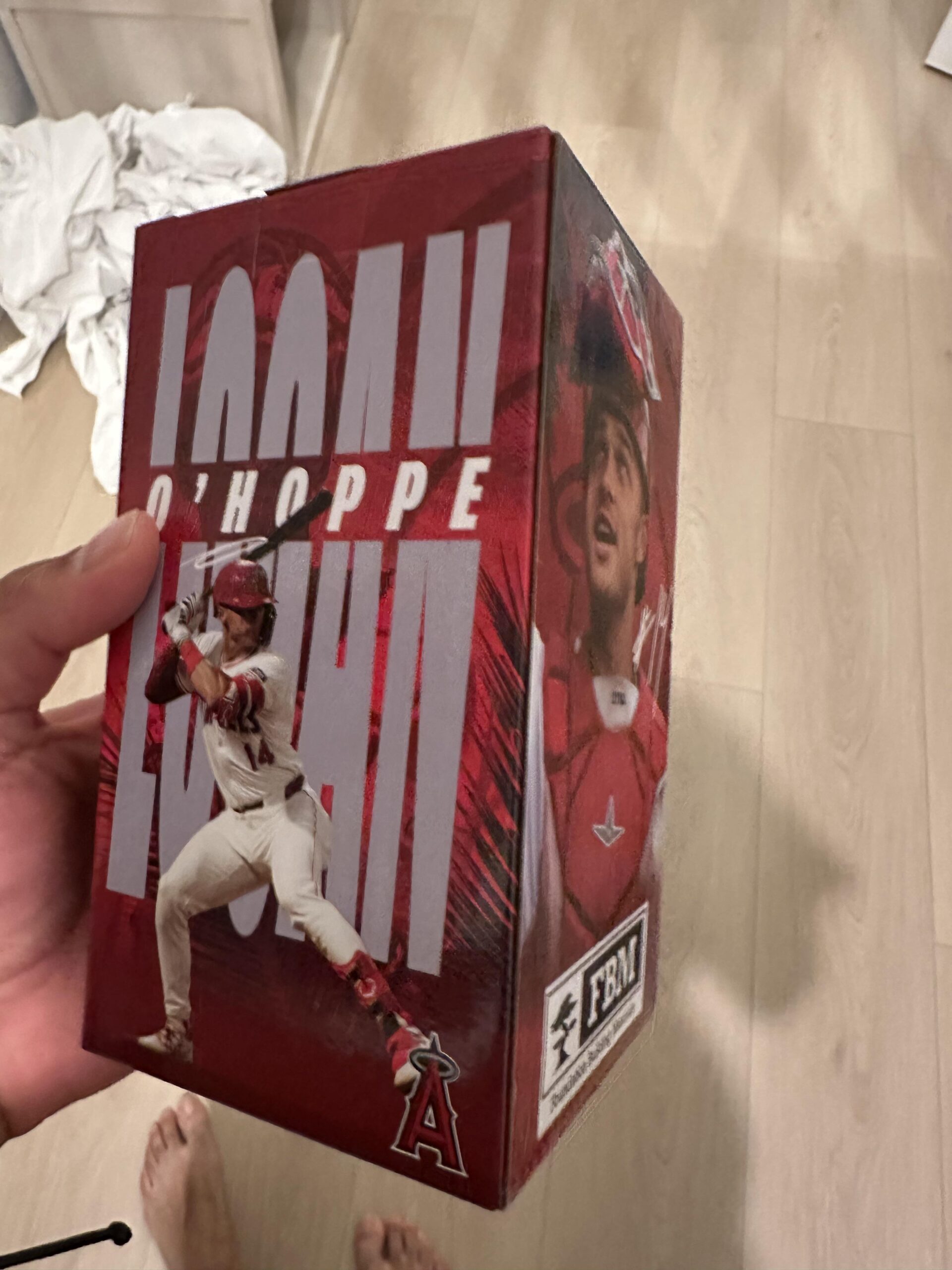 To the guy who was in an accident on the way to the Angels game