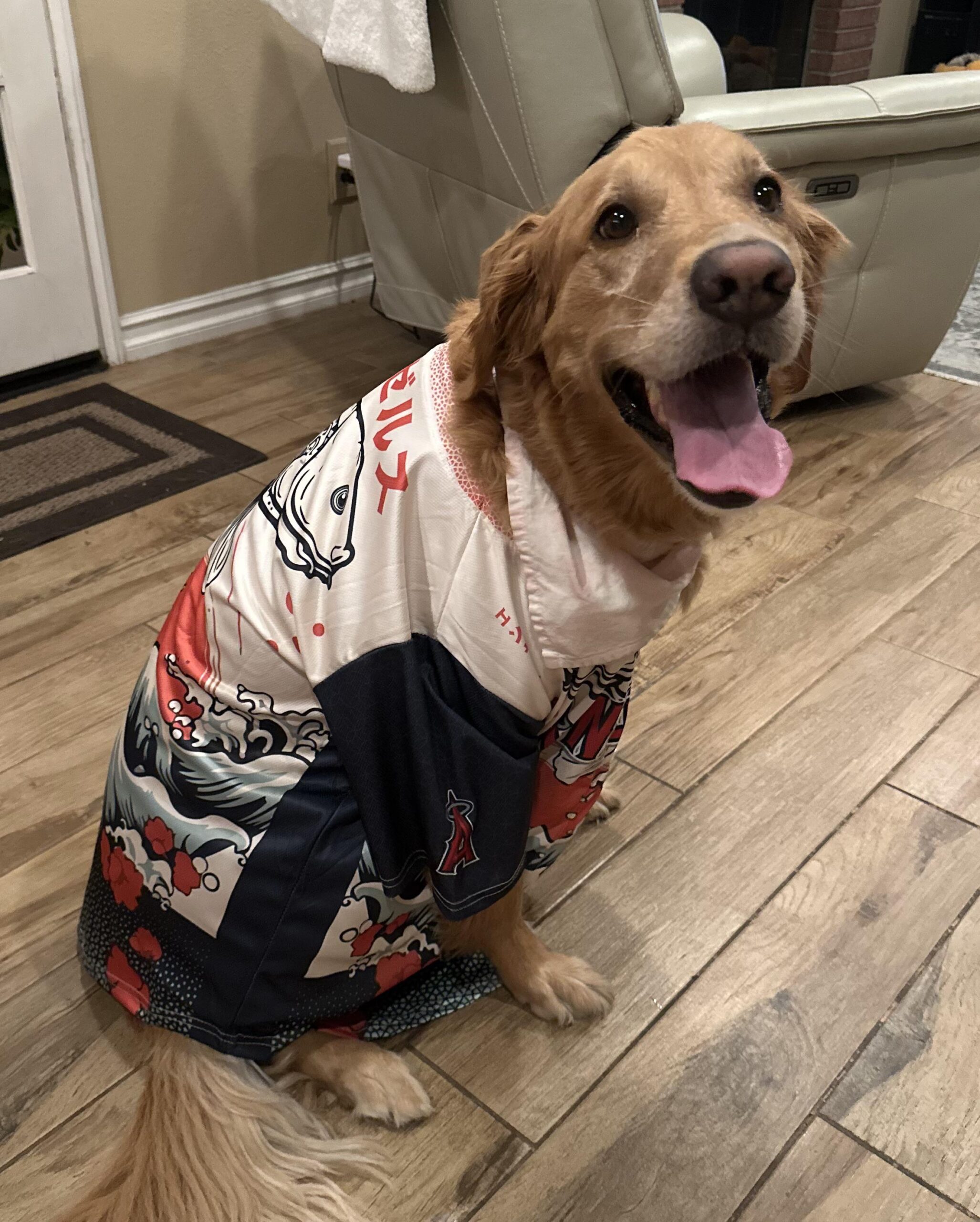At least someone’s happy after the angels game tonight…