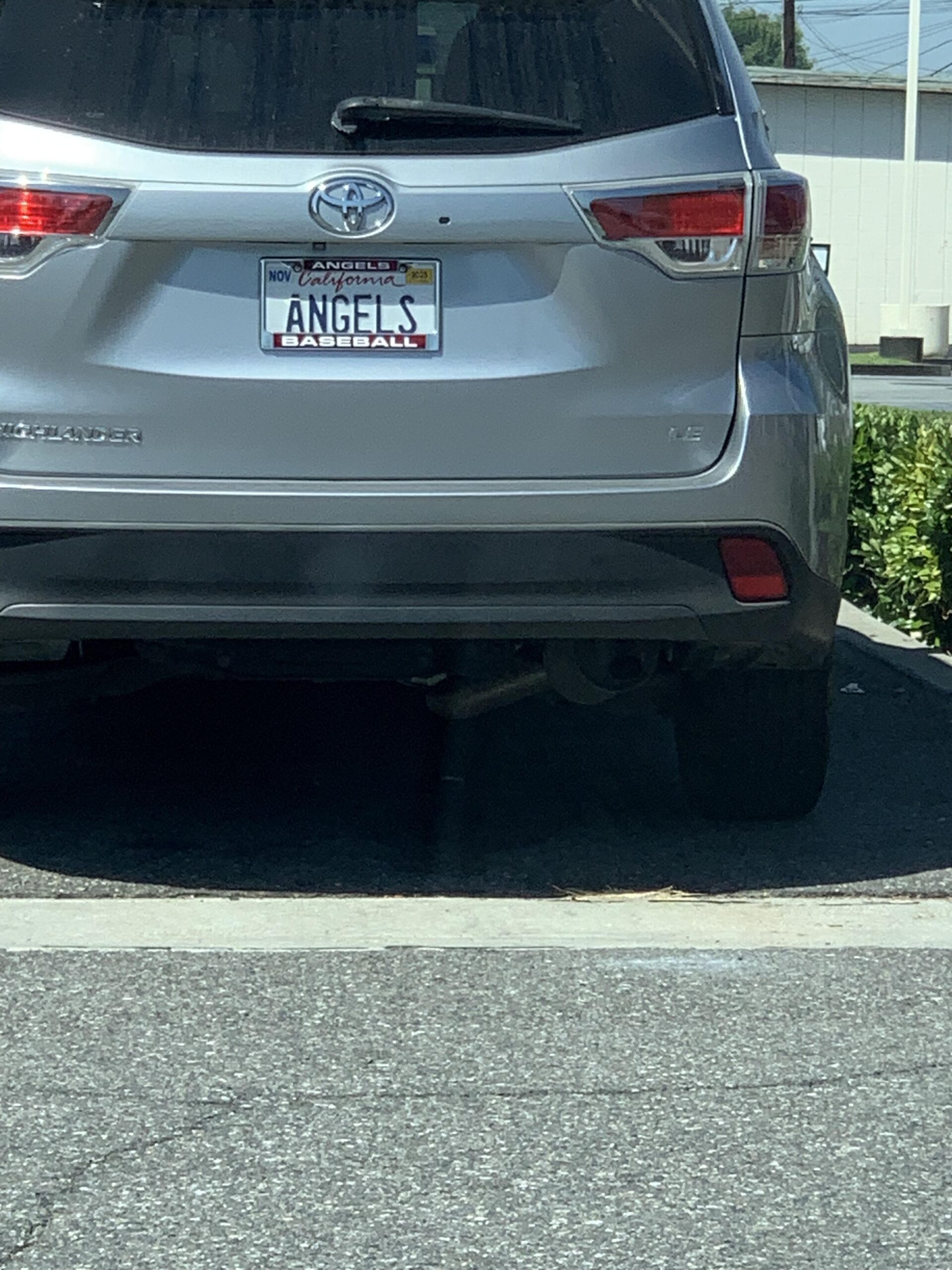 Someone buy this person a Beer
