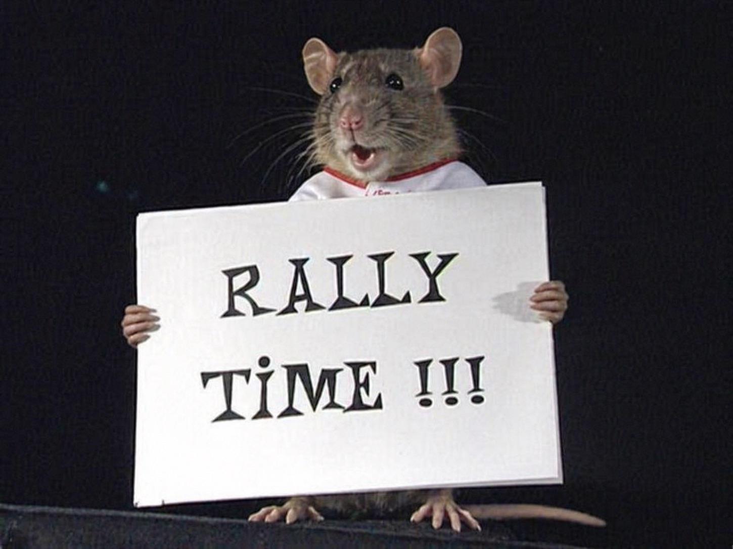 Let’s go rally rat