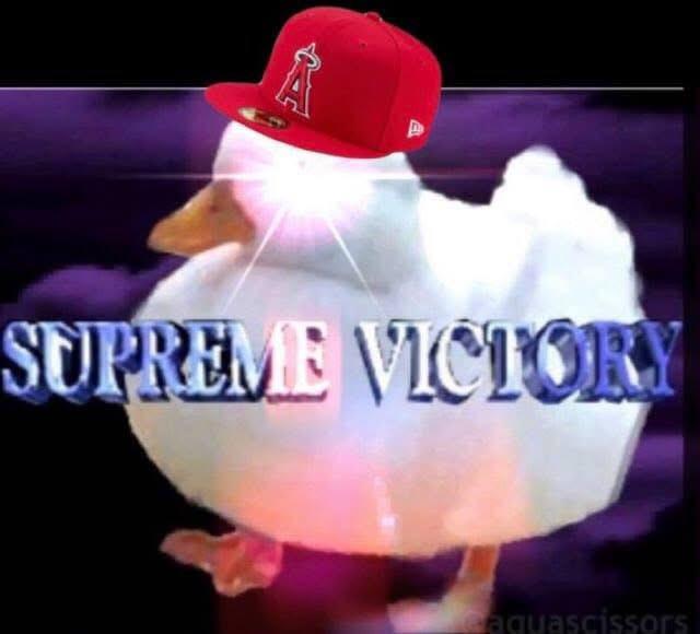 LTBU! Å