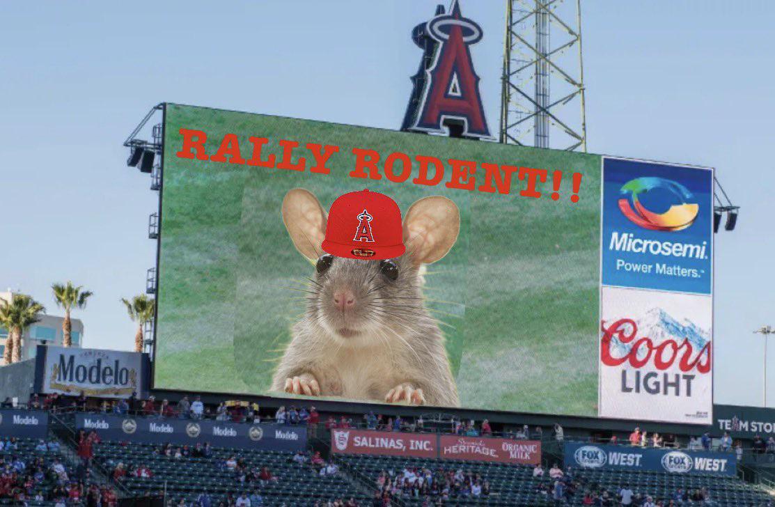 Rally Rodent on Deck