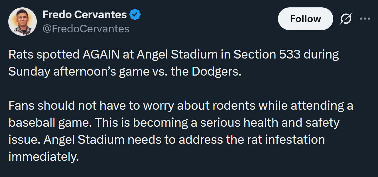 Turned out it was fucking RATS again