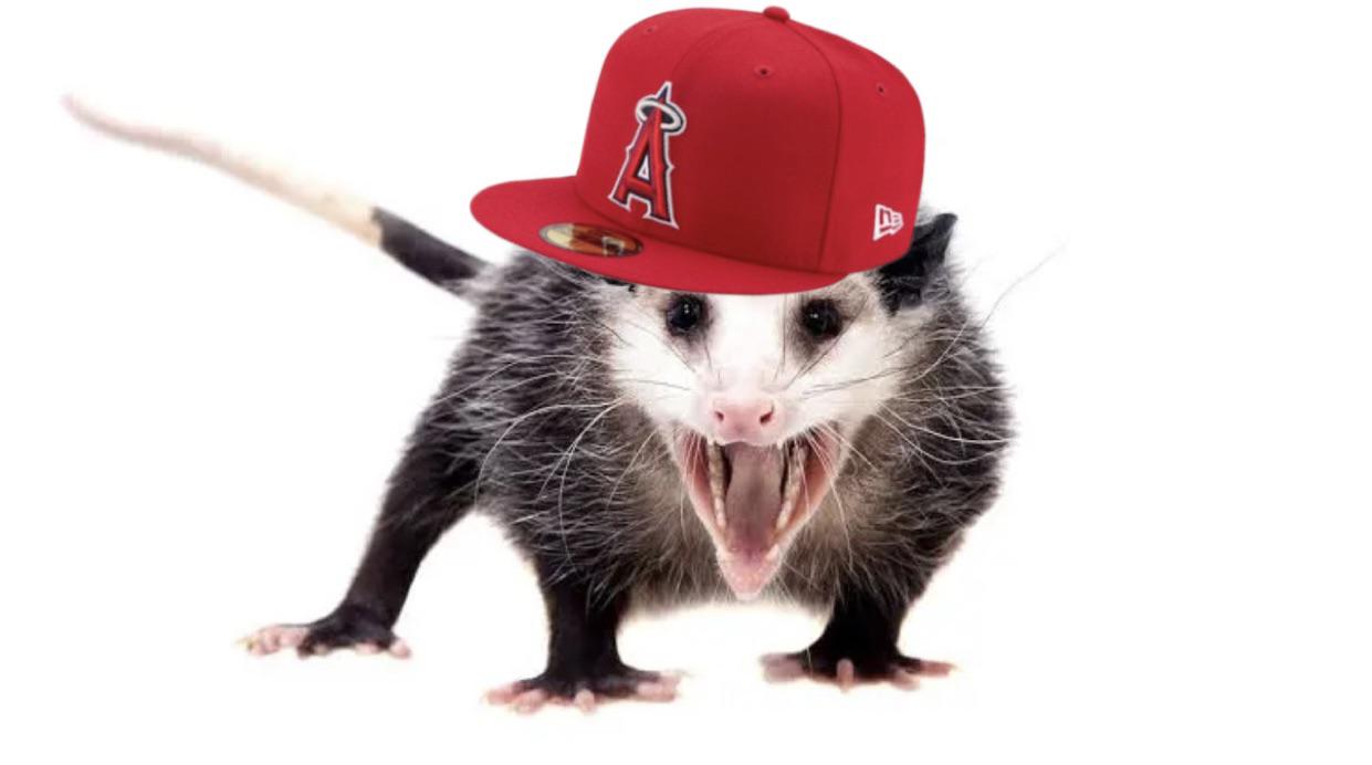 Believe in the power of the Rally Possum
